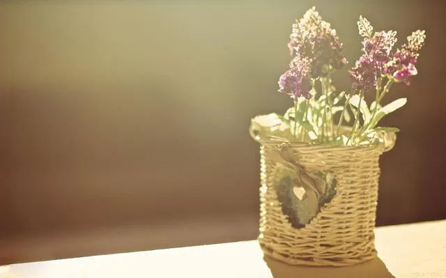 她能和蟑螂、蚊子对话?的确有这么一回事儿